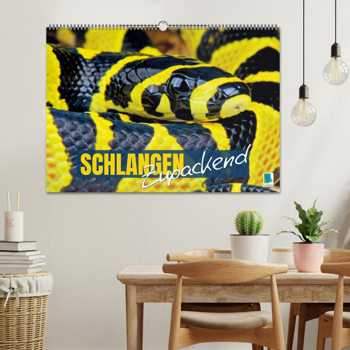 Schlangen: Zupackend (CALVENDO Wandkalender 2026)