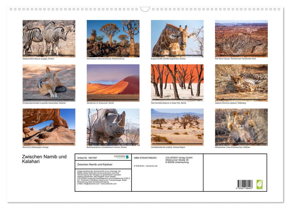 Zwischen Namib und Kalahari (CALVENDO Wandkalender 2026)