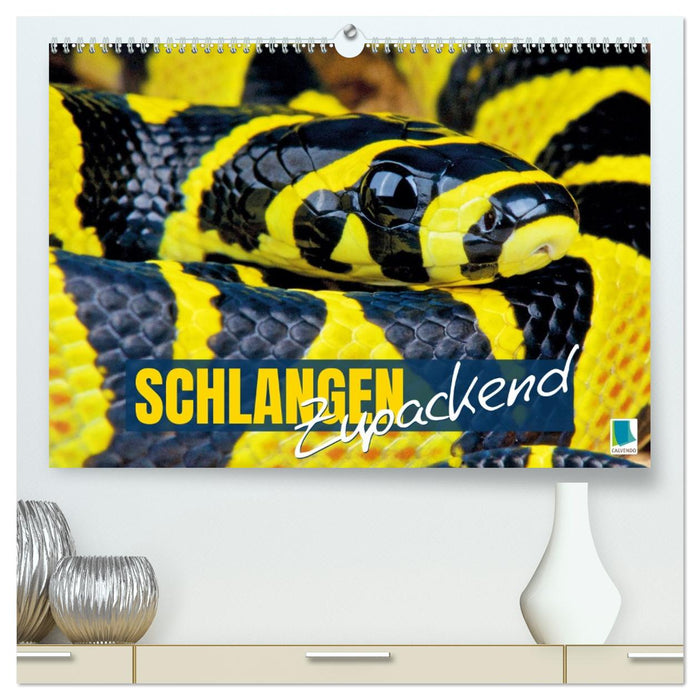 Schlangen: Zupackend (CALVENDO Premium Wandkalender 2026)
