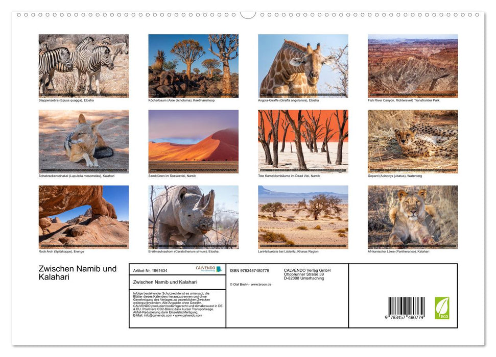 Zwischen Namib und Kalahari (CALVENDO Premium Wandkalender 2026)