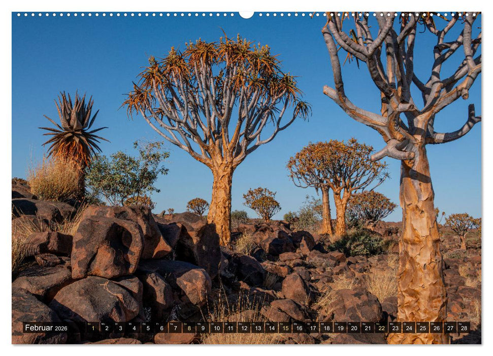 Zwischen Namib und Kalahari (CALVENDO Premium Wandkalender 2026)