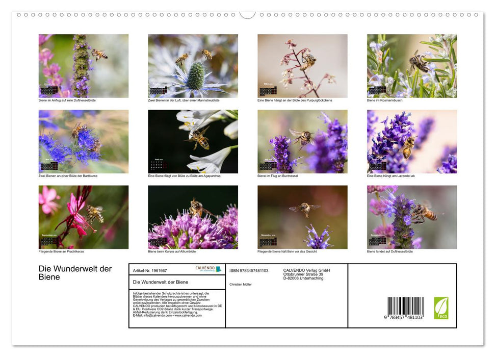 Die Wunderwelt der Biene (CALVENDO Premium Wandkalender 2026)