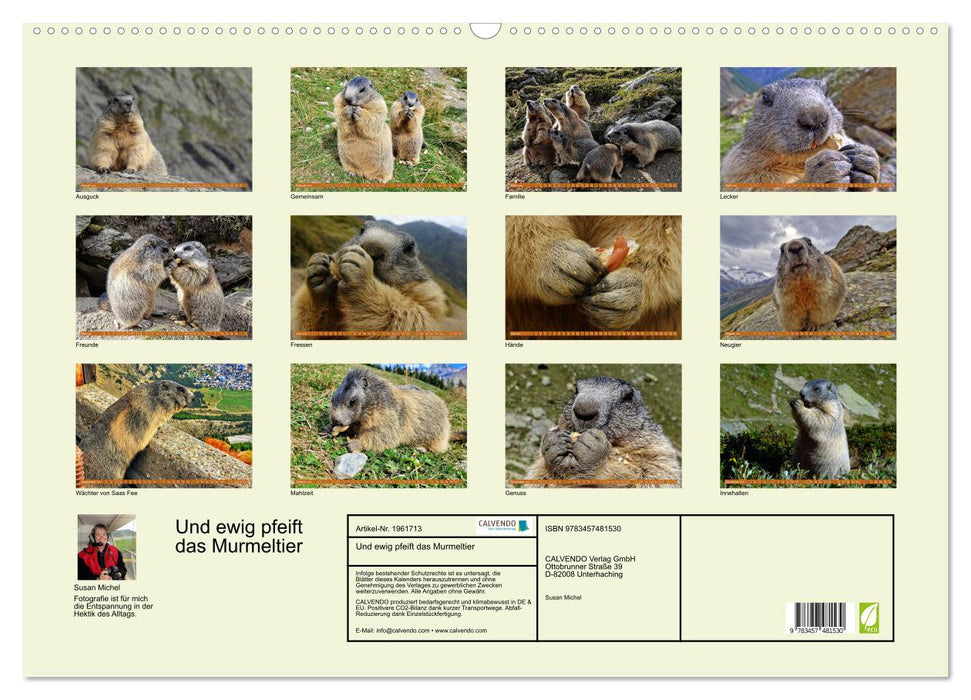 Und ewig pfeift das Murmeltier (CALVENDO Wandkalender 2026)