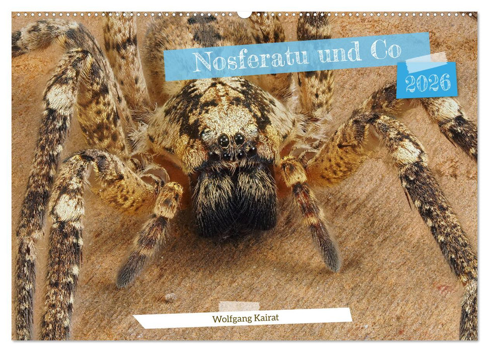 Nosferatu und Co. (CALVENDO Wandkalender 2026)