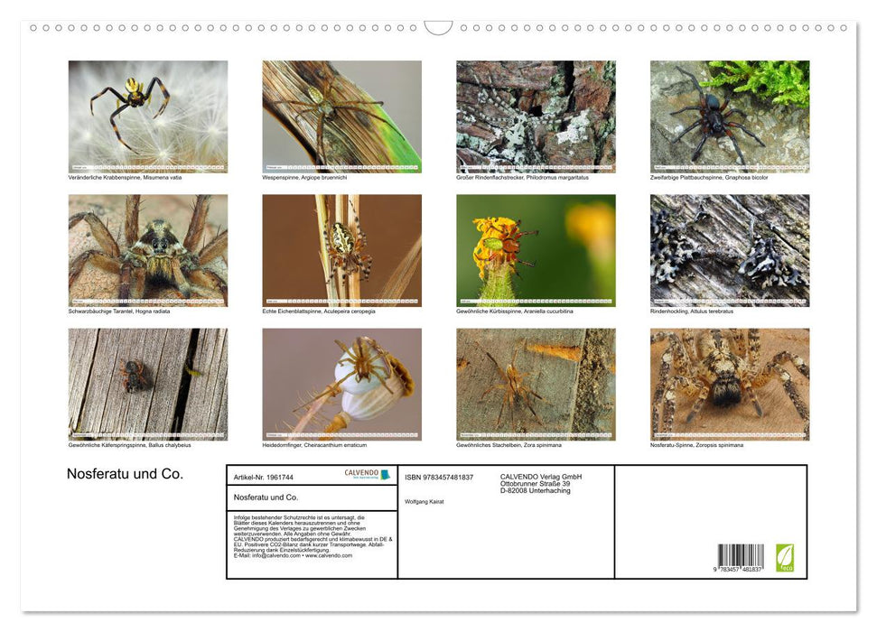 Nosferatu und Co. (CALVENDO Wandkalender 2026)