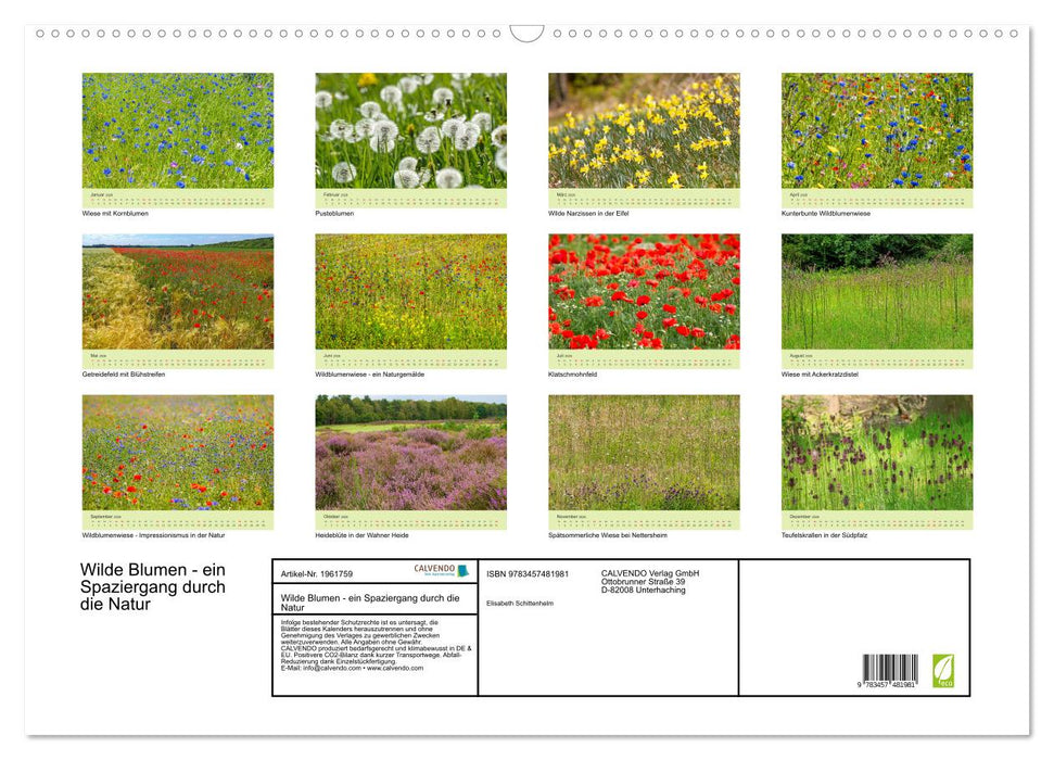 Wilde Blumen - ein Spaziergang durch die Natur (CALVENDO Wandkalender 2026)