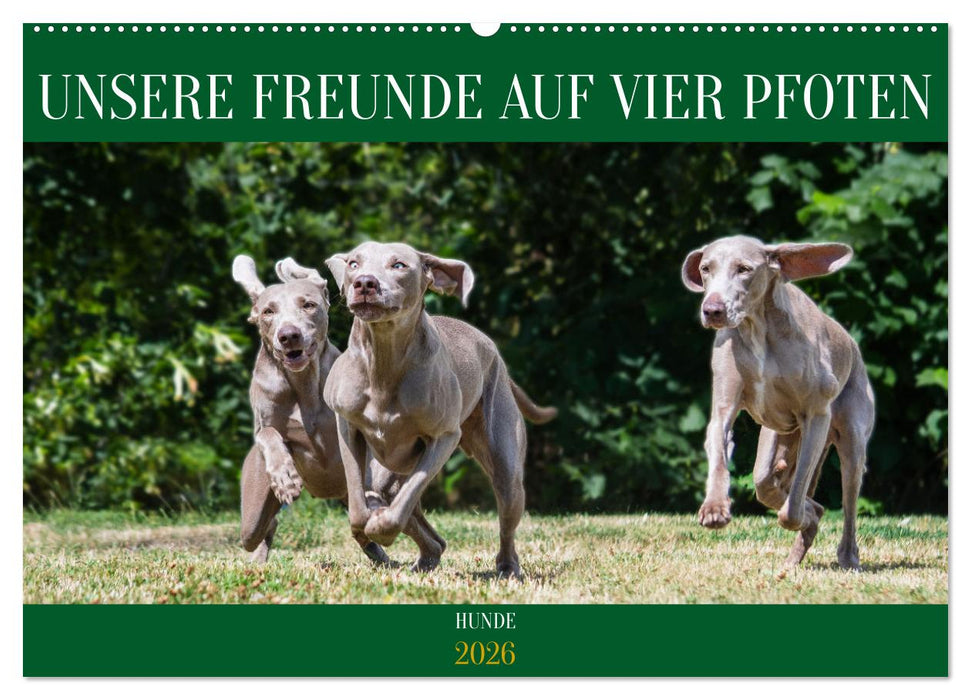 Unsere Freunde auf vier Pfoten - Hunde (CALVENDO Wandkalender 2026)