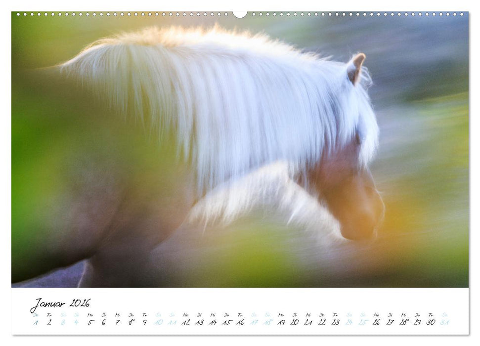 Pferde vom Wind verweht (CALVENDO Wandkalender 2026)