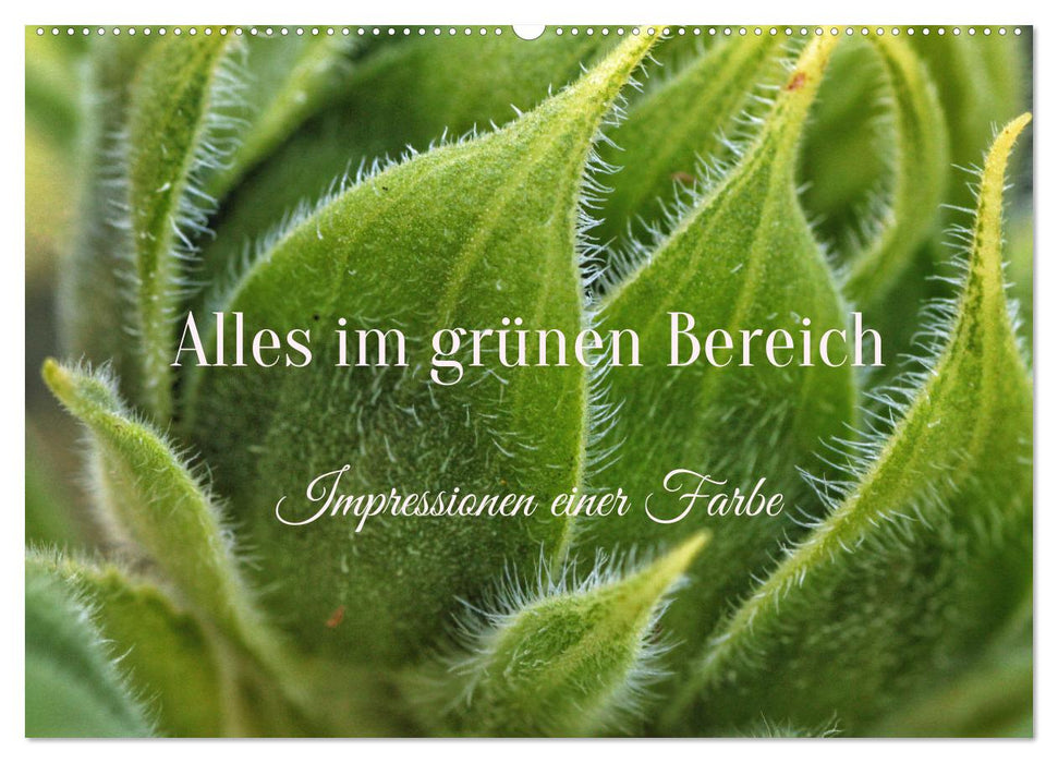 Alles im grünen Bereich (CALVENDO Wandkalender 2026)