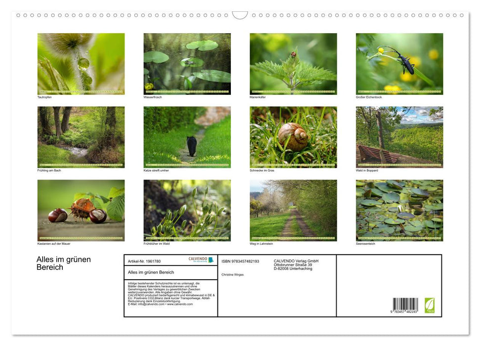 Alles im grünen Bereich (CALVENDO Wandkalender 2026)