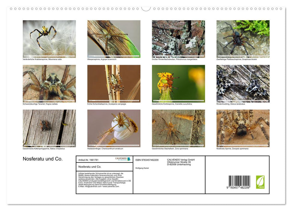 Nosferatu und Co. (CALVENDO Premium Wandkalender 2026)