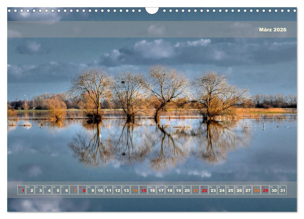 Licht im Land (CALVENDO Wandkalender 2026)