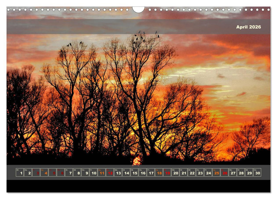 Licht im Land (CALVENDO Wandkalender 2026)