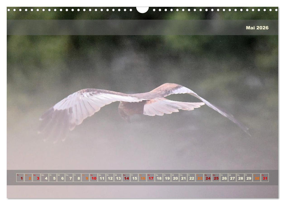 Licht im Land (CALVENDO Wandkalender 2026)