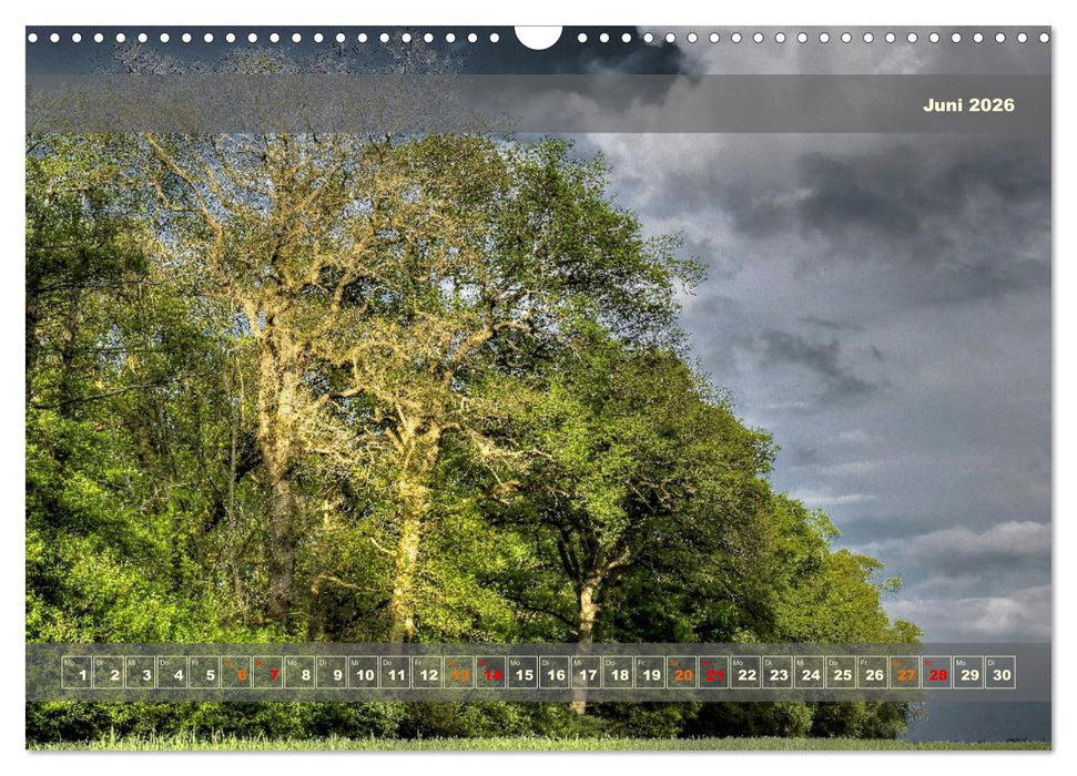 Licht im Land (CALVENDO Wandkalender 2026)