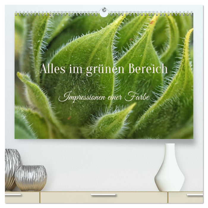 Alles im grünen Bereich (CALVENDO Premium Wandkalender 2026)
