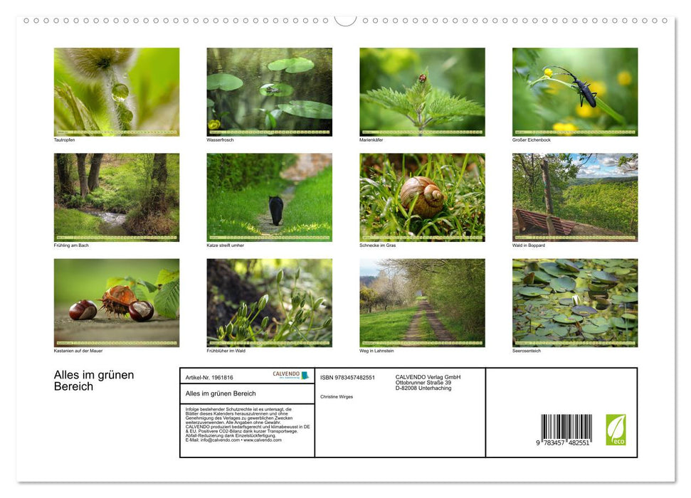 Alles im grünen Bereich (CALVENDO Premium Wandkalender 2026)