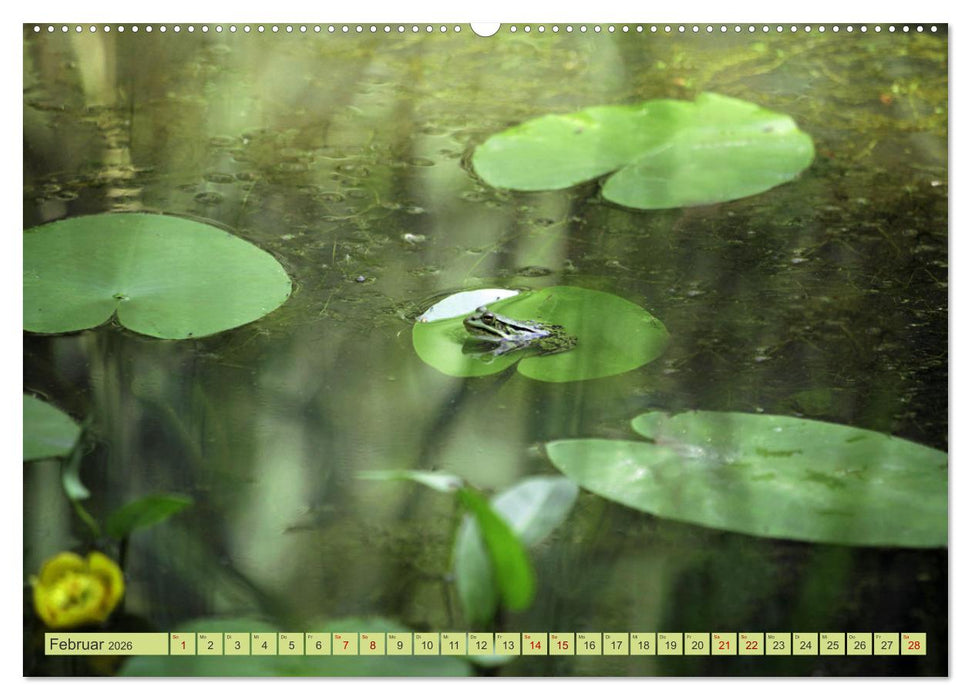Alles im grünen Bereich (CALVENDO Premium Wandkalender 2026)