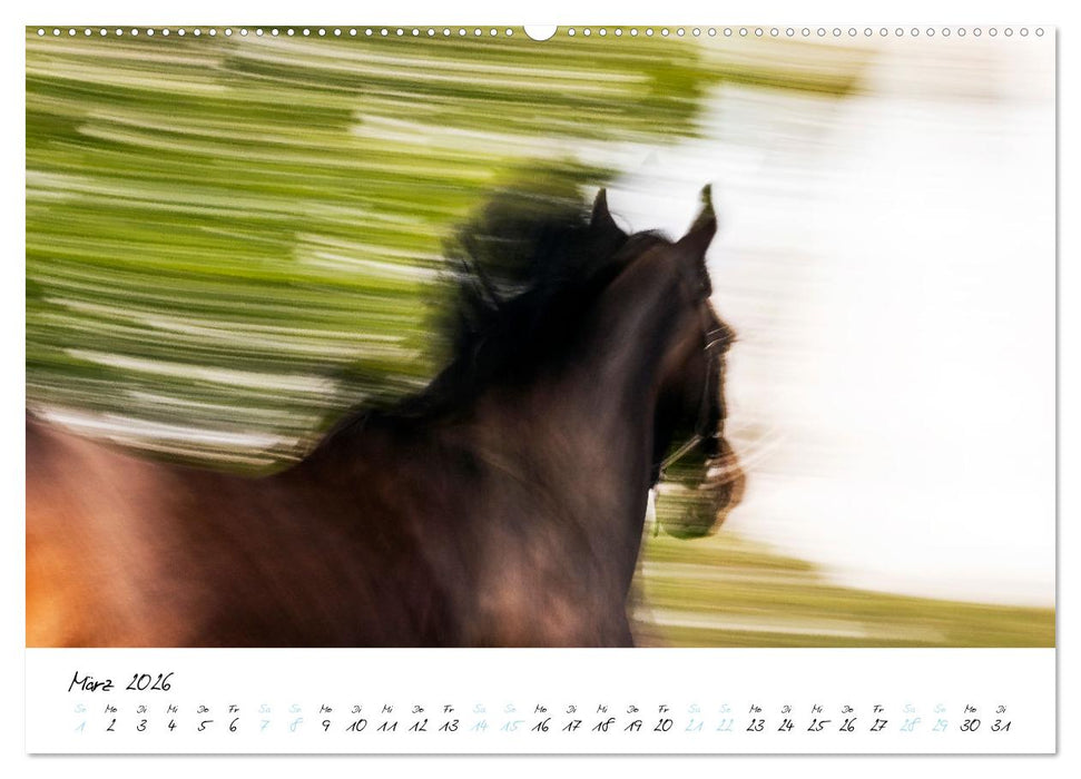 Pferde vom Wind verweht (CALVENDO Premium Wandkalender 2026)