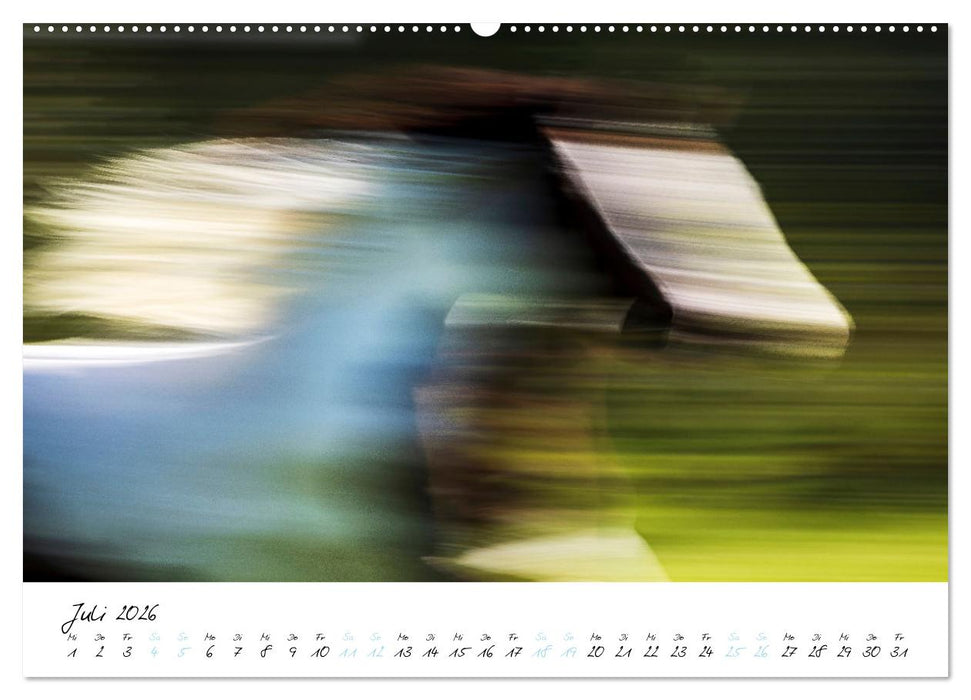 Pferde vom Wind verweht (CALVENDO Premium Wandkalender 2026)