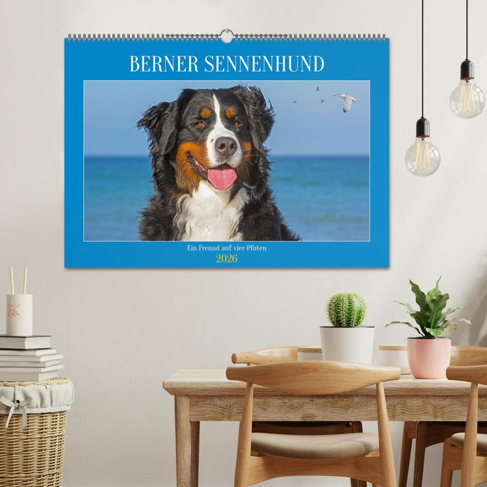 Berner Sennenhund - Ein Freund auf vier Pfoten (CALVENDO Wandkalender 2026)