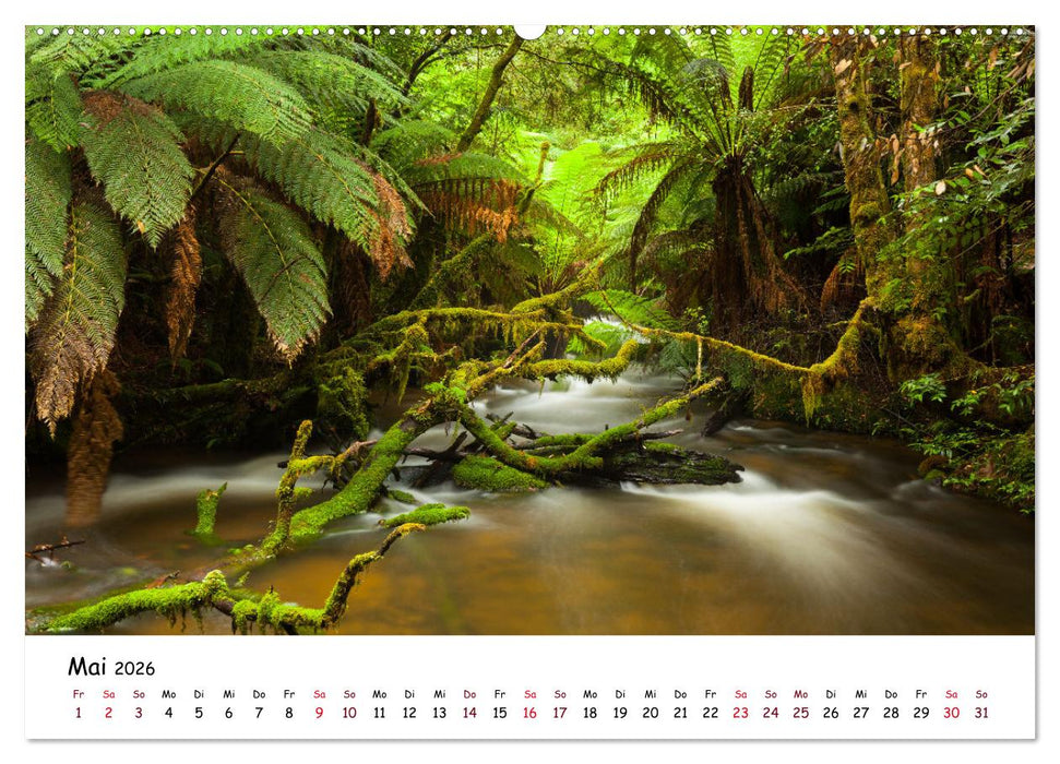 Australiens Schönheit (CALVENDO Premium Wandkalender 2026)