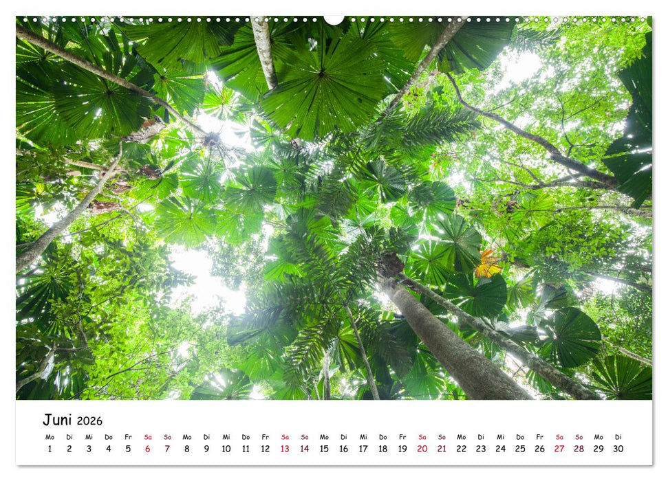 Australiens Schönheit (CALVENDO Premium Wandkalender 2026)