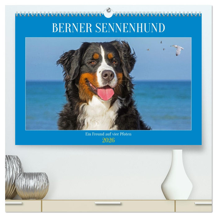 Berner Sennenhund - Ein Freund auf vier Pfoten (CALVENDO Premium Wandkalender 2026)