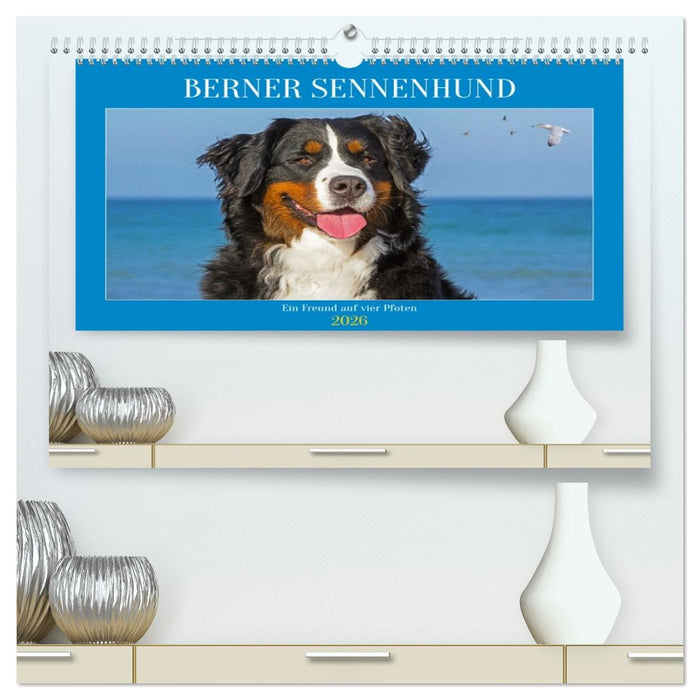Berner Sennenhund - Ein Freund auf vier Pfoten (CALVENDO Premium Wandkalender 2026)