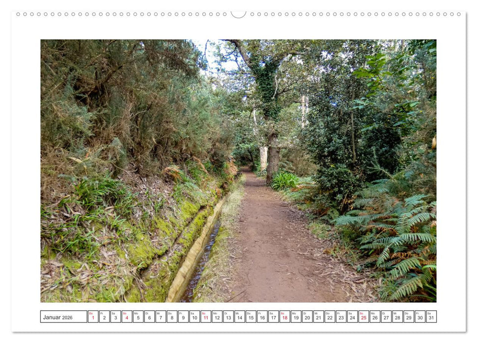 Madeira, eine Insel zum Genießen (CALVENDO Wandkalender 2026)
