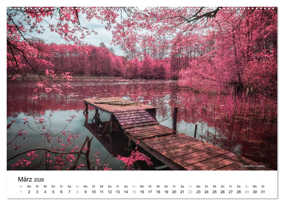 Die Lausitz im faszinierenden Infrarotlicht (CALVENDO Premium Wandkalender 2026)