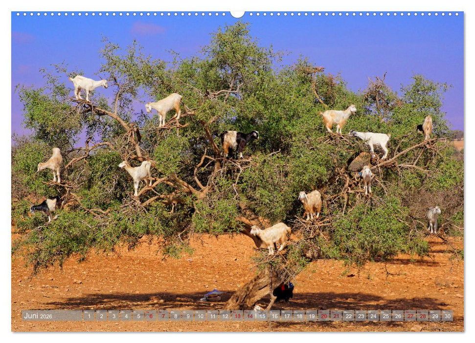 neunziggrad I photoart: marokko (CALVENDO Premium Wandkalender 2026)