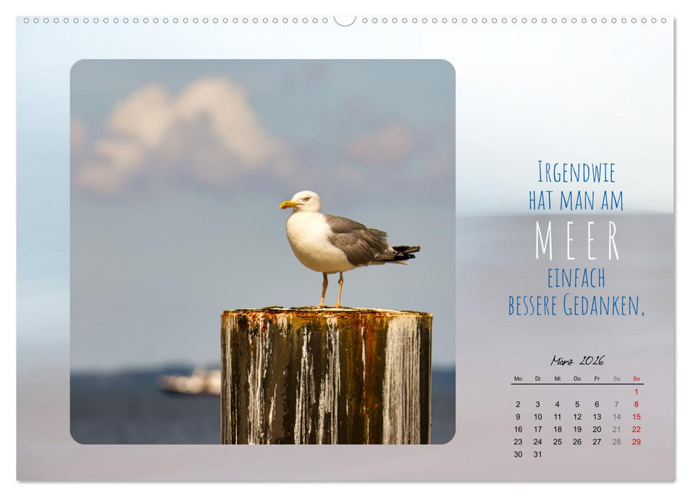 Mehr oder weniger Meer (CALVENDO Wandkalender 2026)