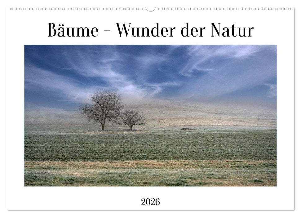 Bäume - Wunder der Natur (CALVENDO Wandkalender 2026)