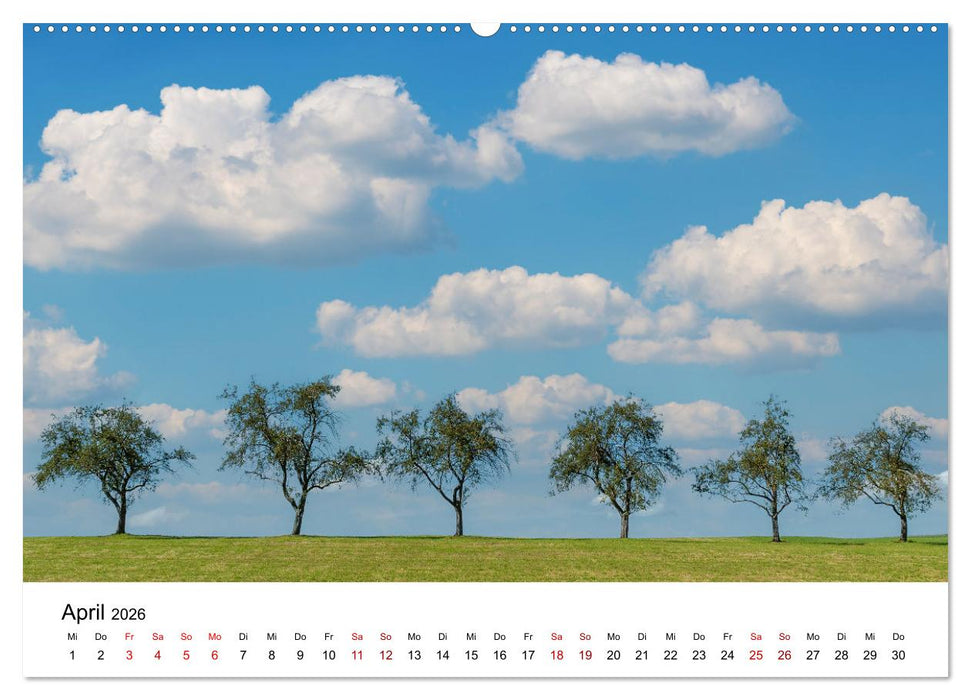 Bäume - Wunder der Natur (CALVENDO Wandkalender 2026)