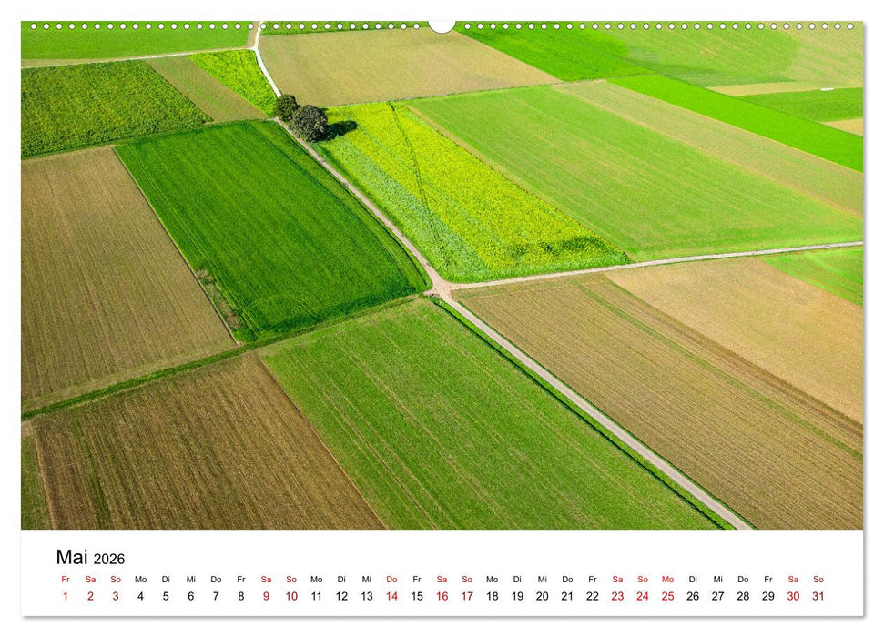 Bäume - Wunder der Natur (CALVENDO Wandkalender 2026)