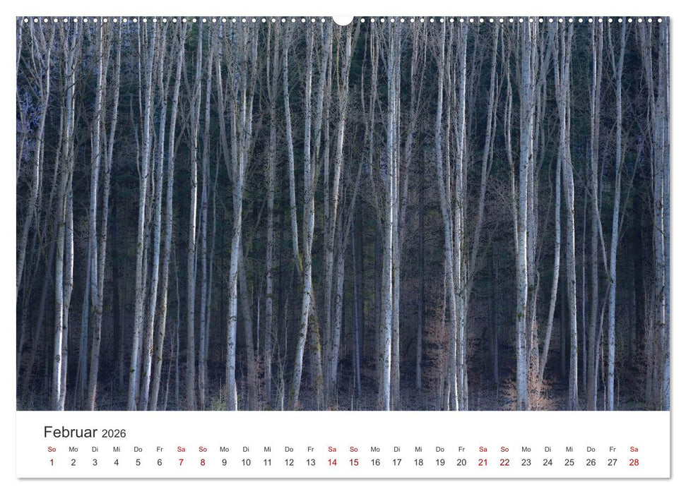 Bäume - Gelebtes Leben (CALVENDO Wandkalender 2026)