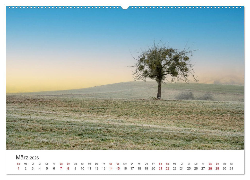 Bäume - Gelebtes Leben (CALVENDO Wandkalender 2026)