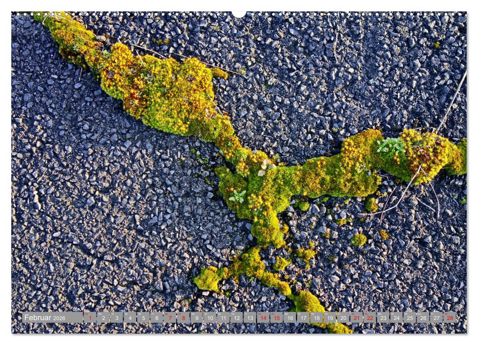 Straßenszenerie (CALVENDO Wandkalender 2026)