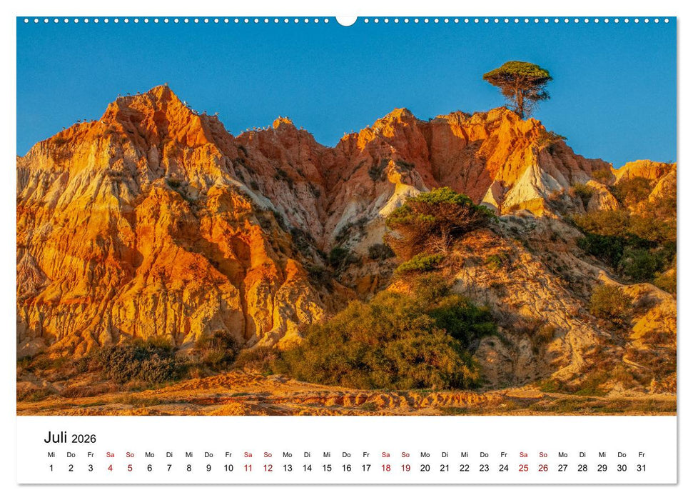 Bäume - Wunder der Natur (CALVENDO Premium Wandkalender 2026)
