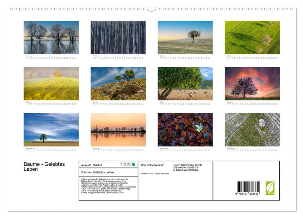 Bäume - Gelebtes Leben (CALVENDO Premium Wandkalender 2026)