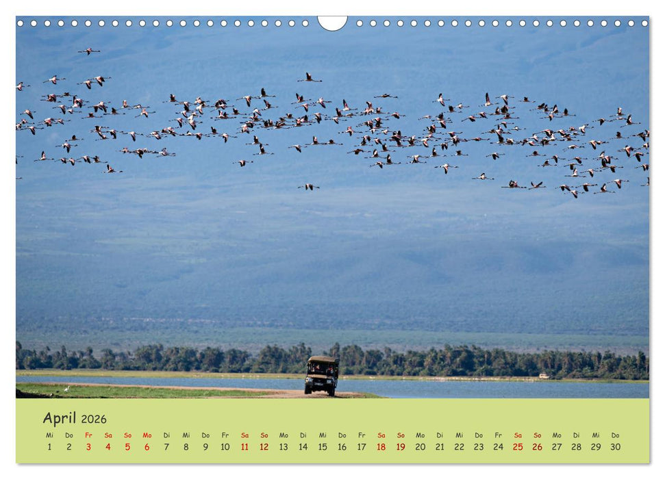 Gefiederte Schönheiten Ostafrikas (CALVENDO Wandkalender 2026)