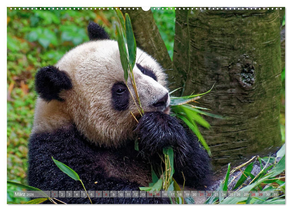 neunziggrad I photoart: china (CALVENDO Wandkalender 2026)