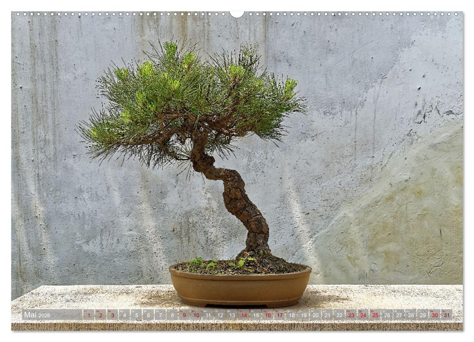 neunziggrad I photoart: china (CALVENDO Wandkalender 2026)