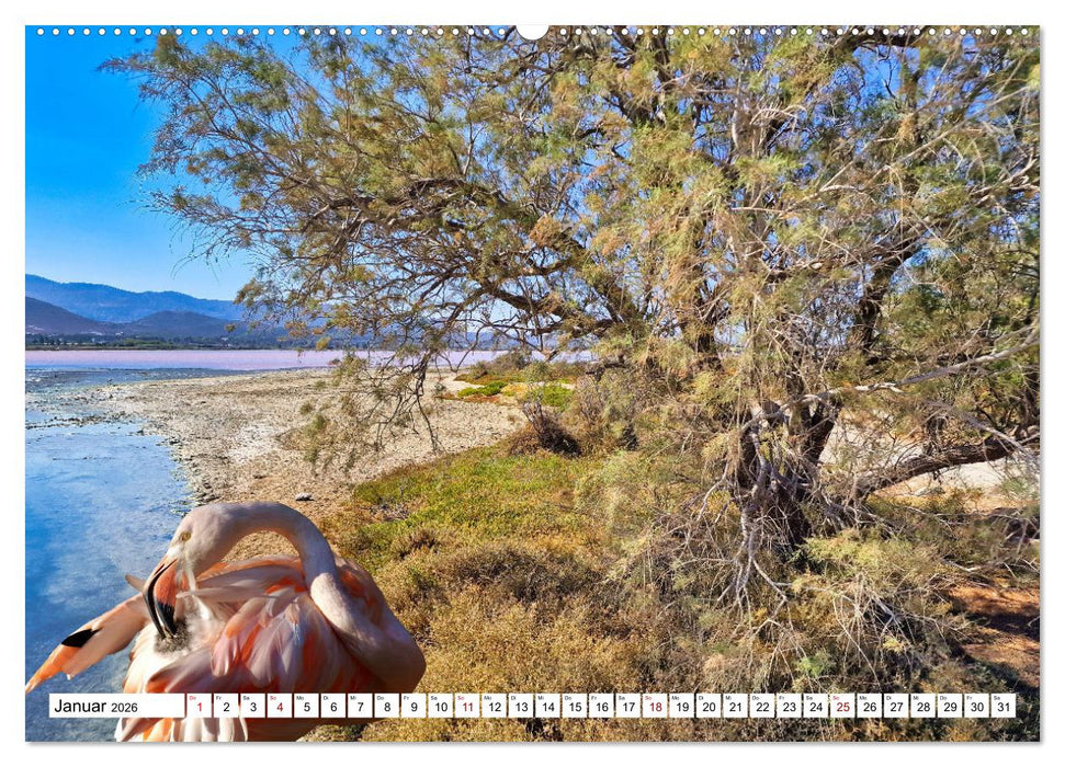 Kos - zauberhafte Insel des Dodekanes (CALVENDO Wandkalender 2026)