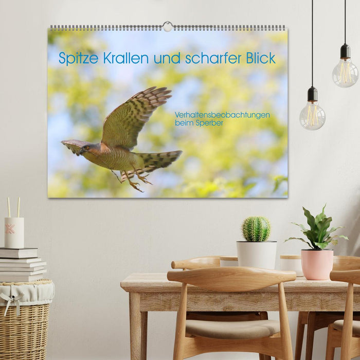 Spitze Krallen und scharfer Blick - Verhalten Sperber (CALVENDO Wandkalender 2026)