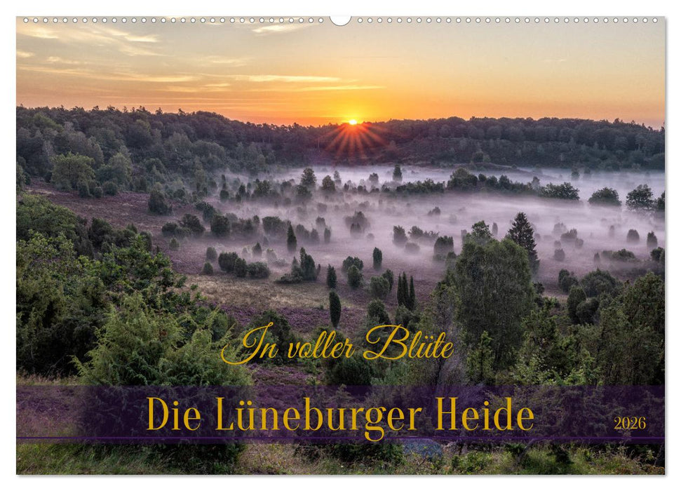Die Lüneburger Heide - In voller Blüte (CALVENDO Wandkalender 2026)