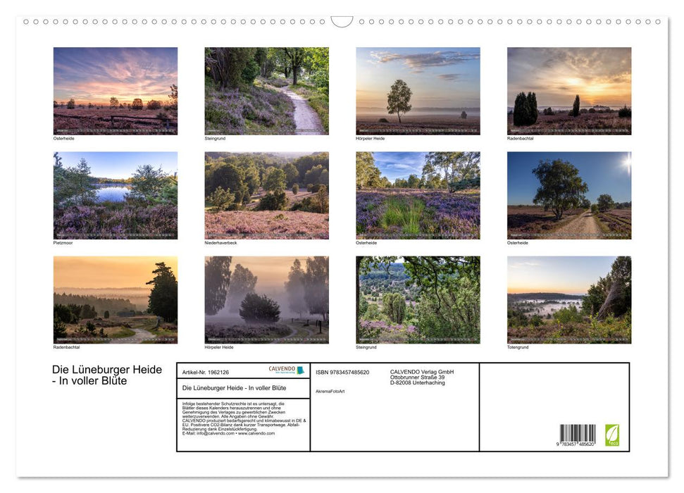 Die Lüneburger Heide - In voller Blüte (CALVENDO Wandkalender 2026)