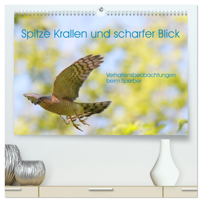 Spitze Krallen und scharfer Blick - Verhalten Sperber (CALVENDO Premium Wandkalender 2026)