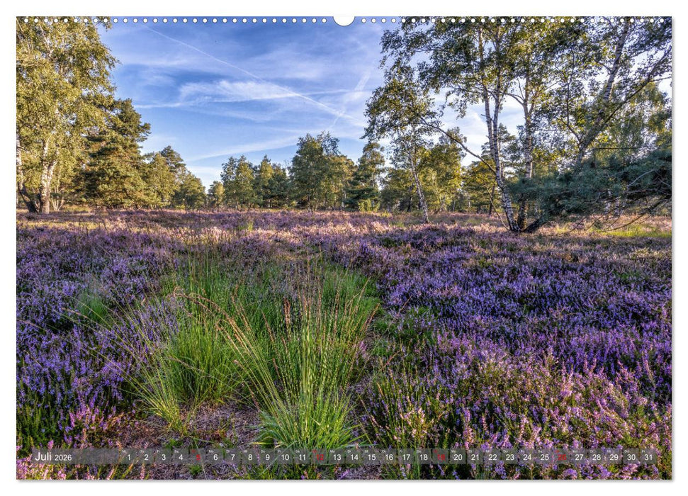 Die Lüneburger Heide - In voller Blüte (CALVENDO Premium Wandkalender 2026)